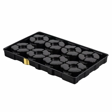 Thermoform Blister Packaging